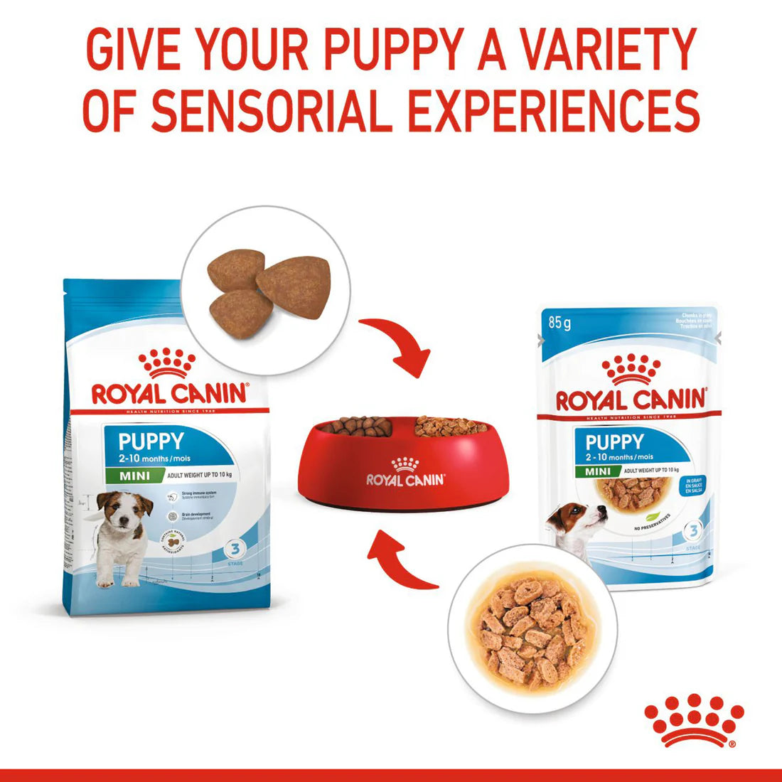 ROYAL CANIN MINI PUPPY 85 GM