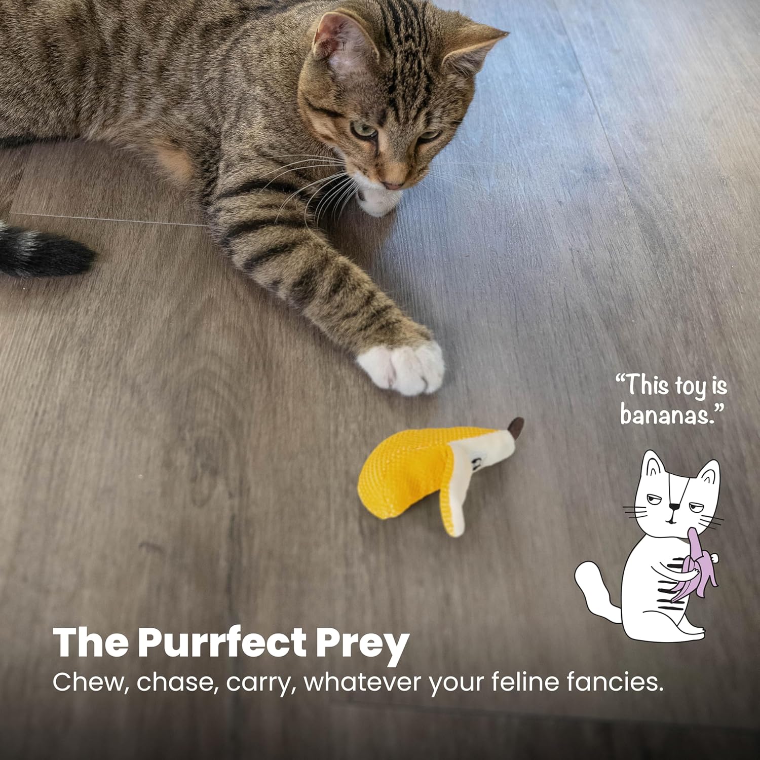 DENTAL BANANA TOY