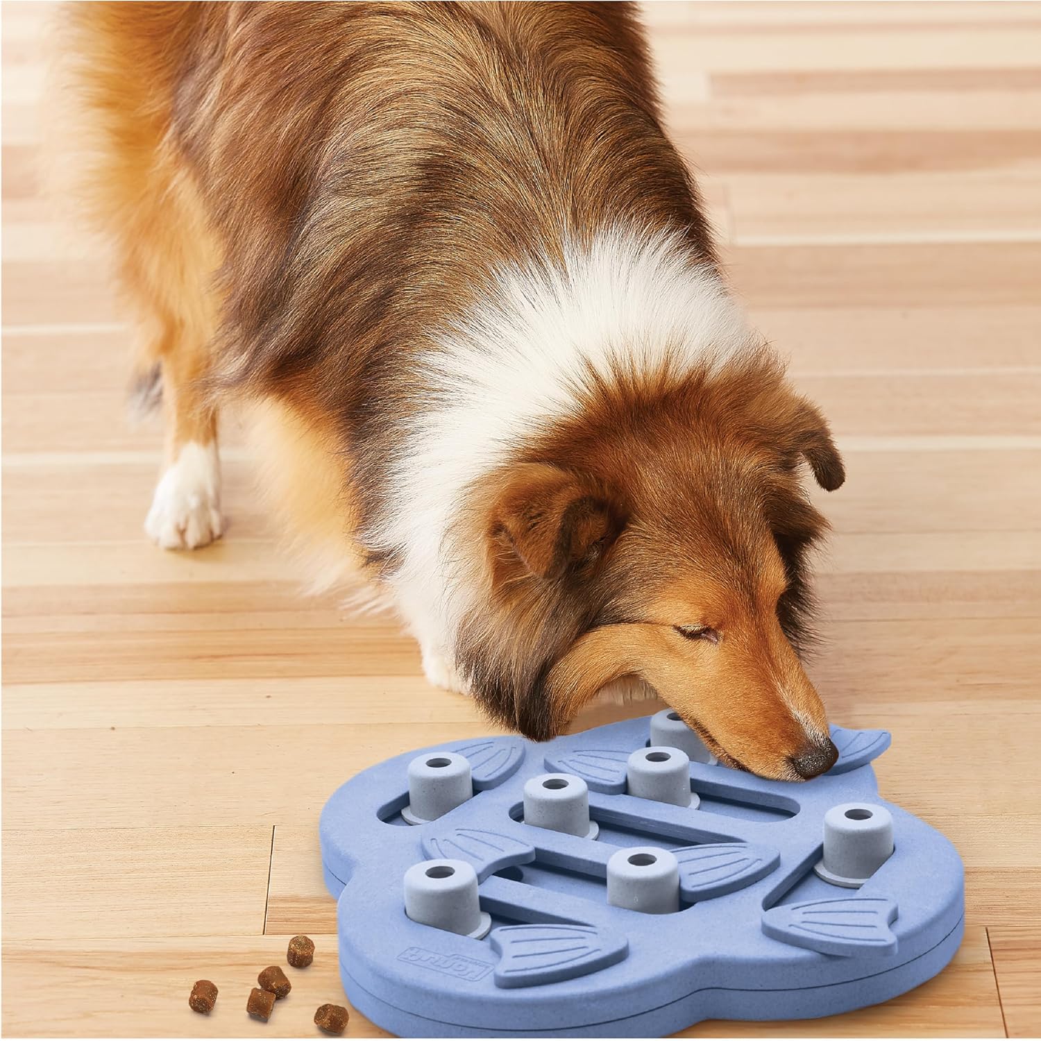 DOG HIDE N SLIDE INTERACTIVE TREAT 29 CM PURPLE