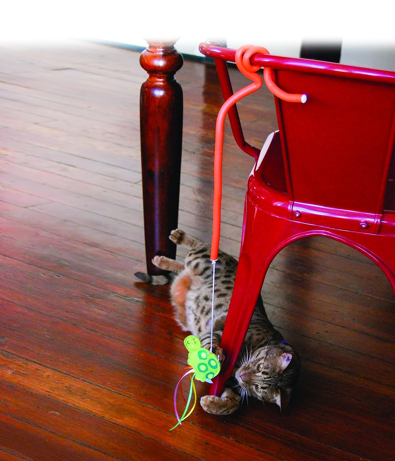 CAT46 CONNECTS BENDERZ DRAGONFLY