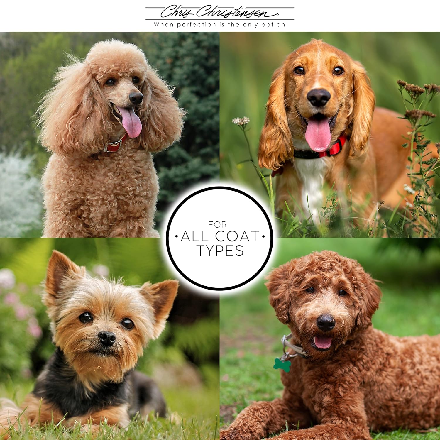 CC SMARTWASH50 DESHED SHAMPOO 473ML