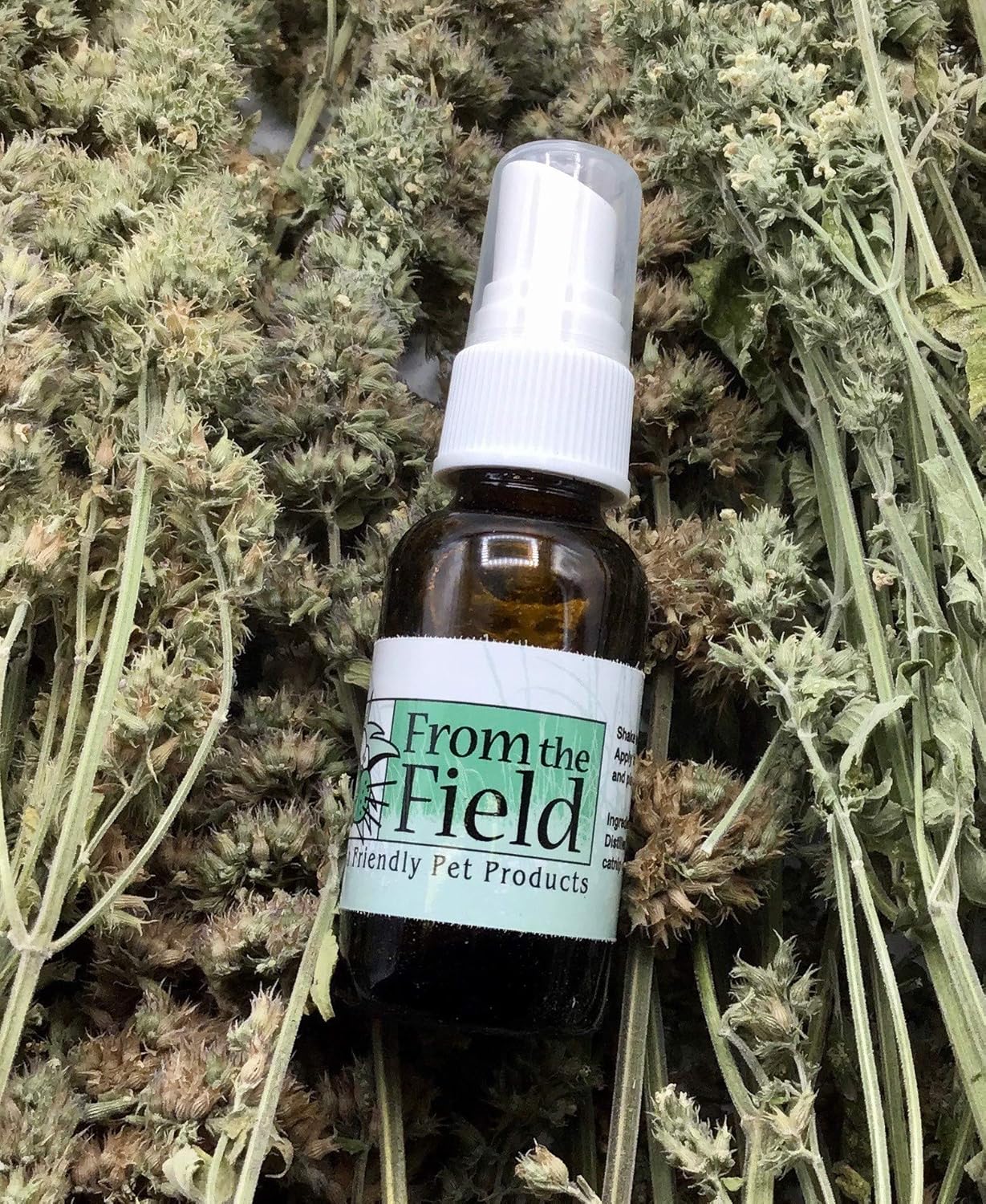 CCS CATNIP SPRAY 28G