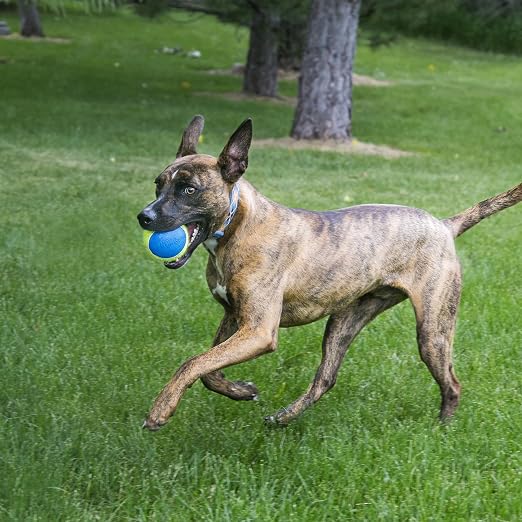 KONG ULTRA SQUEAKAIR BALL LARGE
