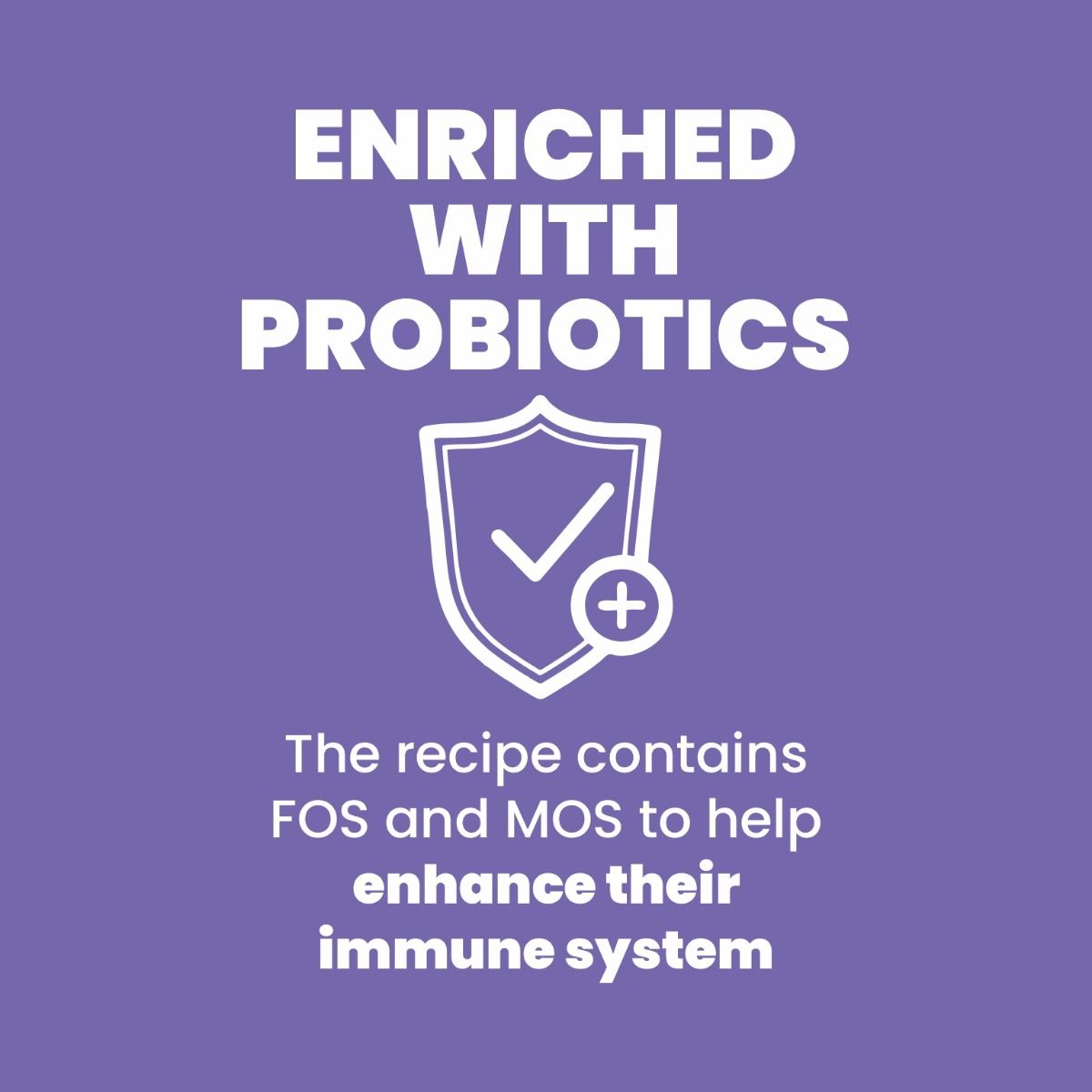 ARDEN GRANGE ADULT DOG LARGE BREED 2KG