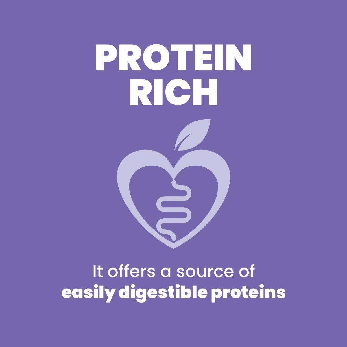 ARDEN GRANGE ADULT DOG LARGE BREED 2KG