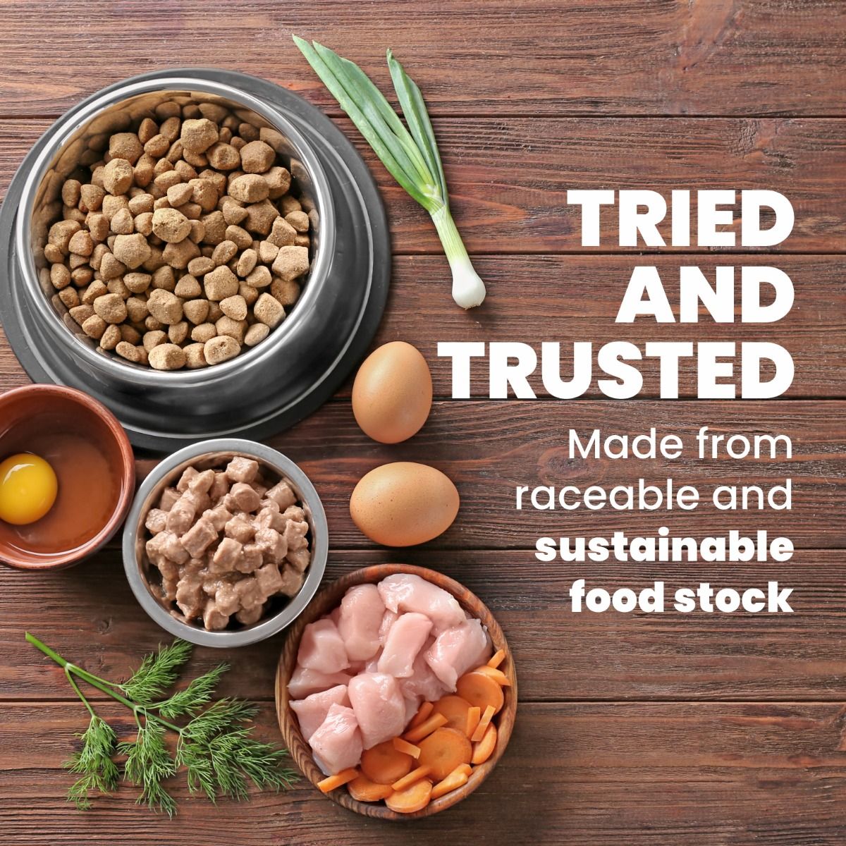 ARDEN GRANGE ADULT DOG LARGE BREED 2KG