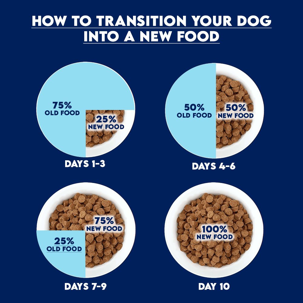 ARDEN GRANGE ADULT DOG LARGE BREED 2KG