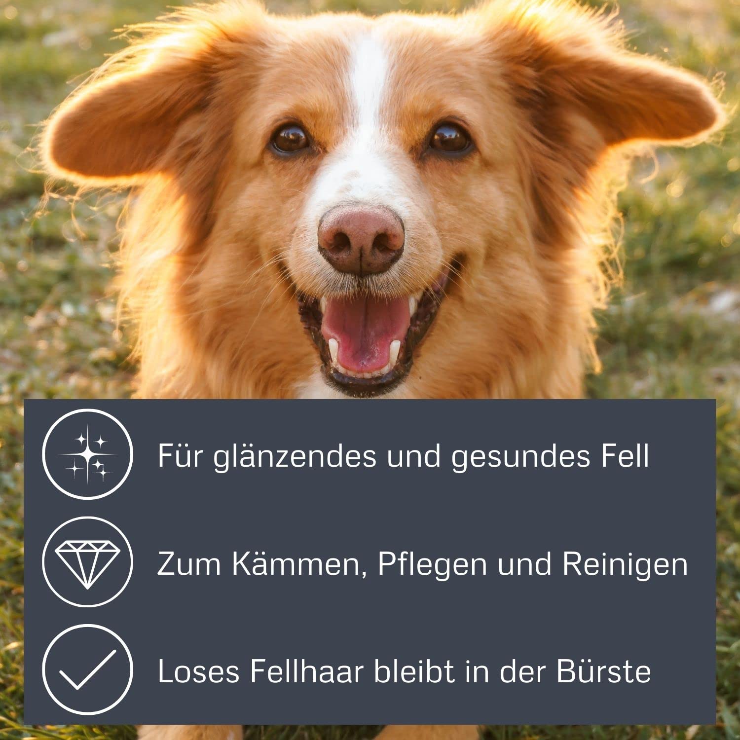 BAMBOO SLICKER BRUSH M