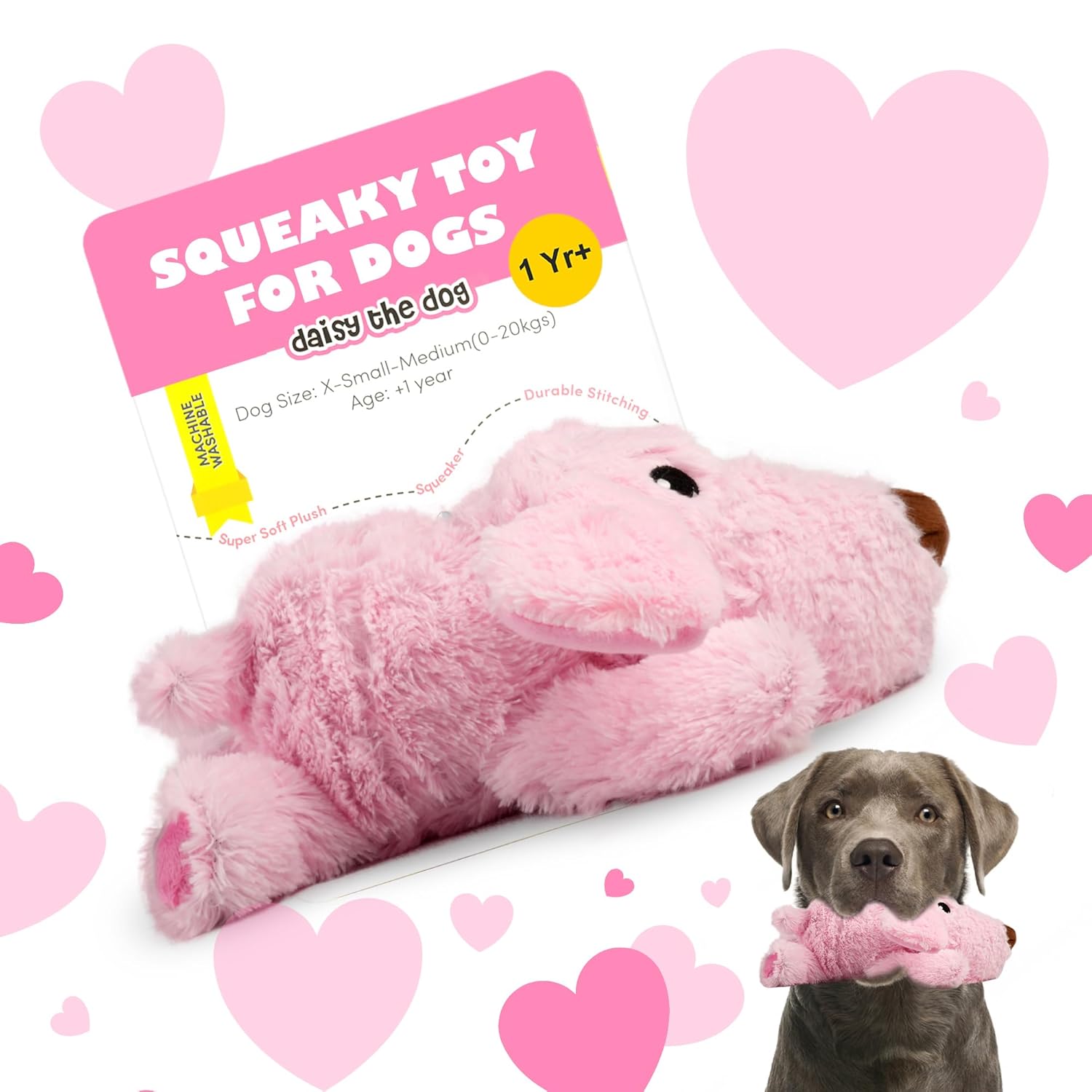 BARKBUTLER DAISY THE DOG