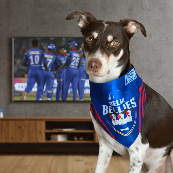 BARKBUTLER DELHI BELLIES LARGE