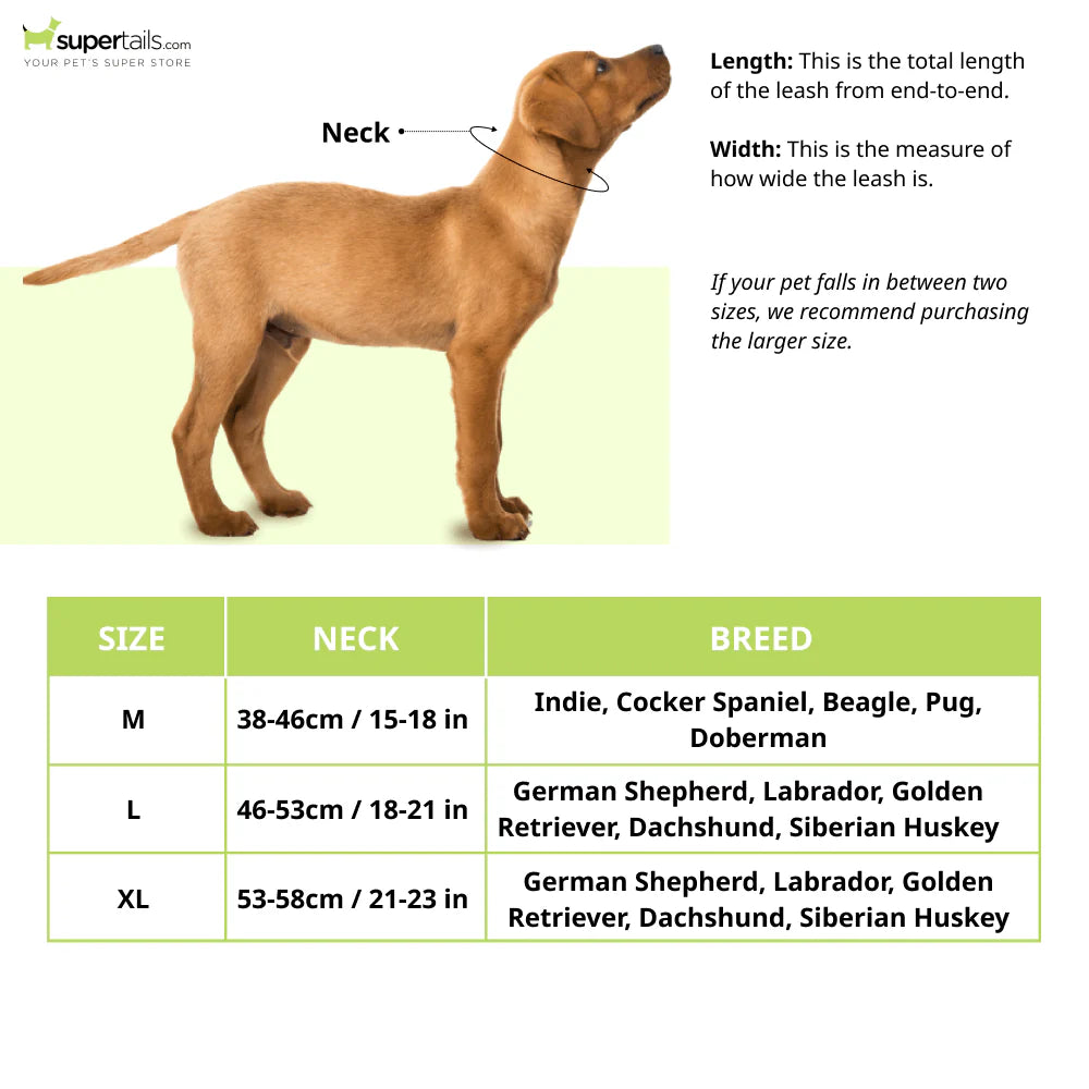 BARKBUTLER DELHI BELLIES LARGE