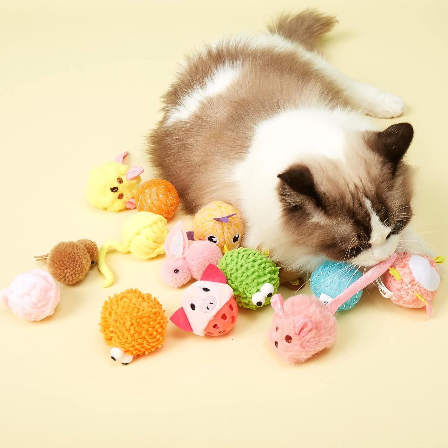 BARKBUTLER FOFOS BALL BOX GEEK BALL 24PC IN BOX