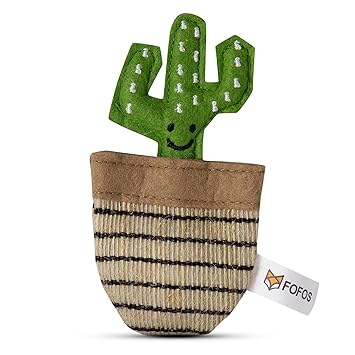 BARKBUTLER FOFOS CAT TOYS GREEN CACTUS