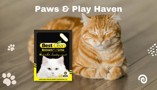 BEST CLEAN CAT LITTER ORIGINAL 25KG