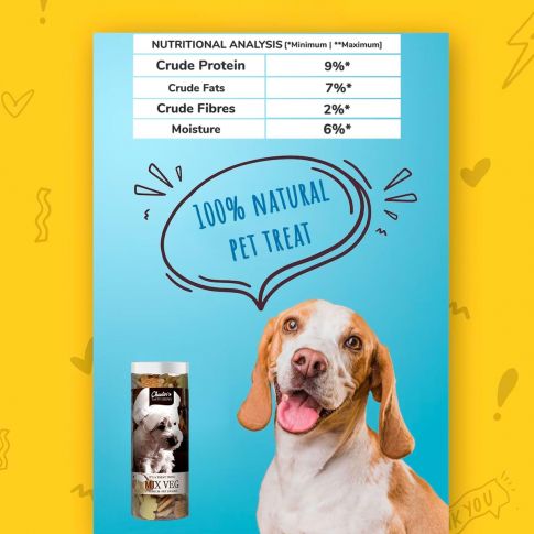 CHESTER MIX VEG BISCUIT JAR 700G