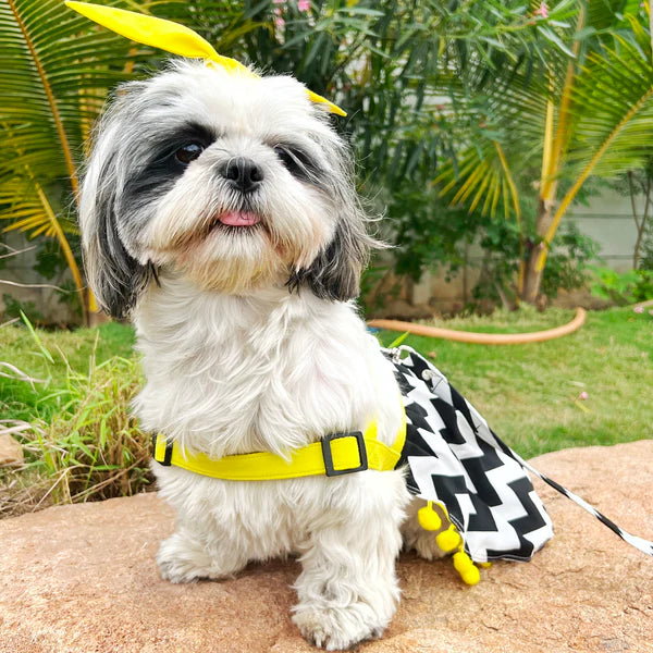 DOB HARNESS FROCK XS