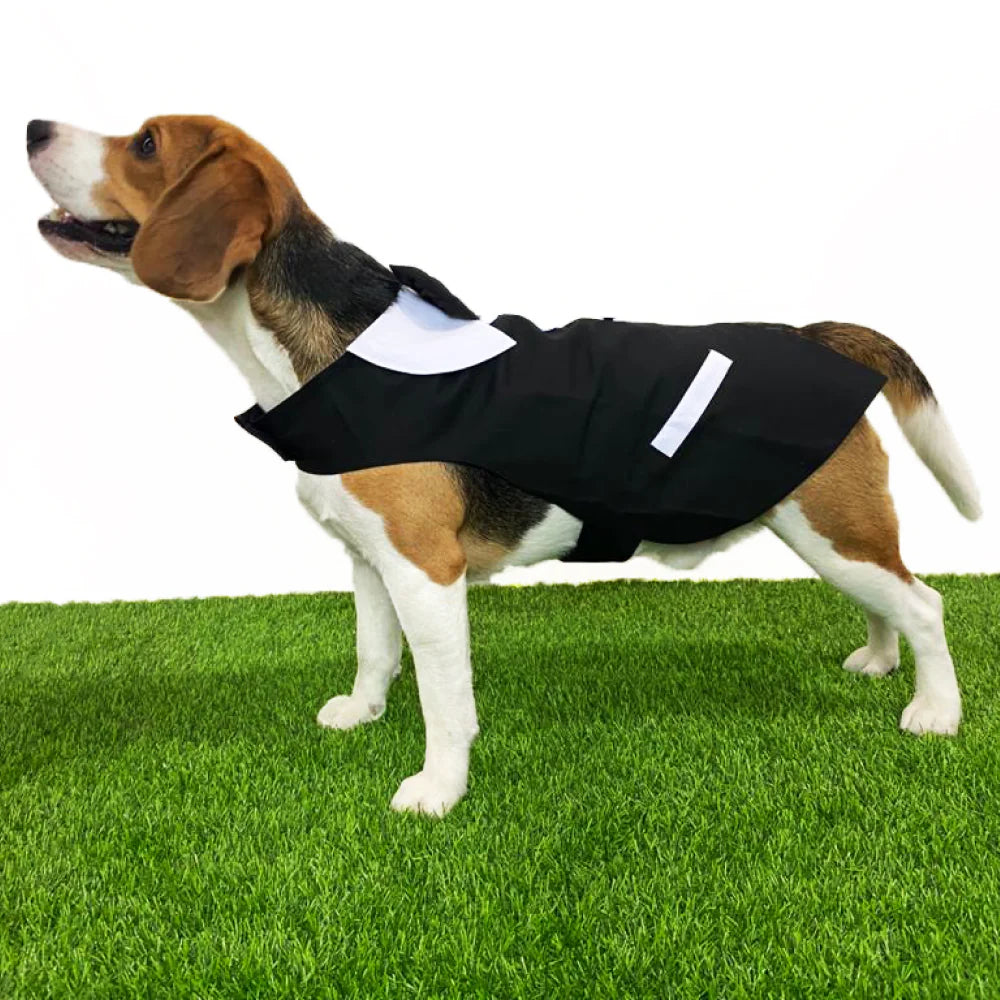 DOB TUXEDO XXL