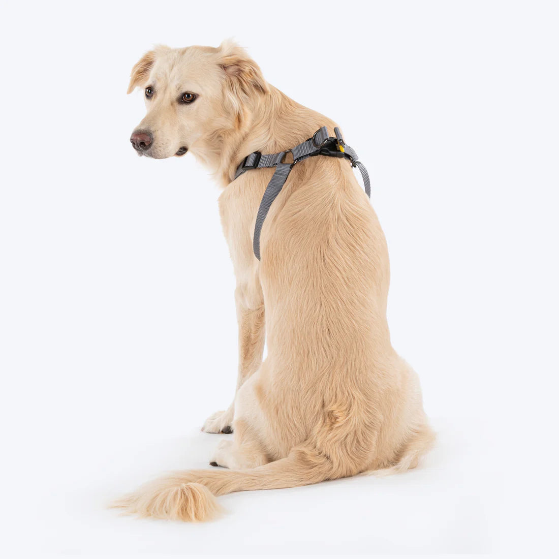 SPLENDOUR SERIES STEP IN HARNESS S