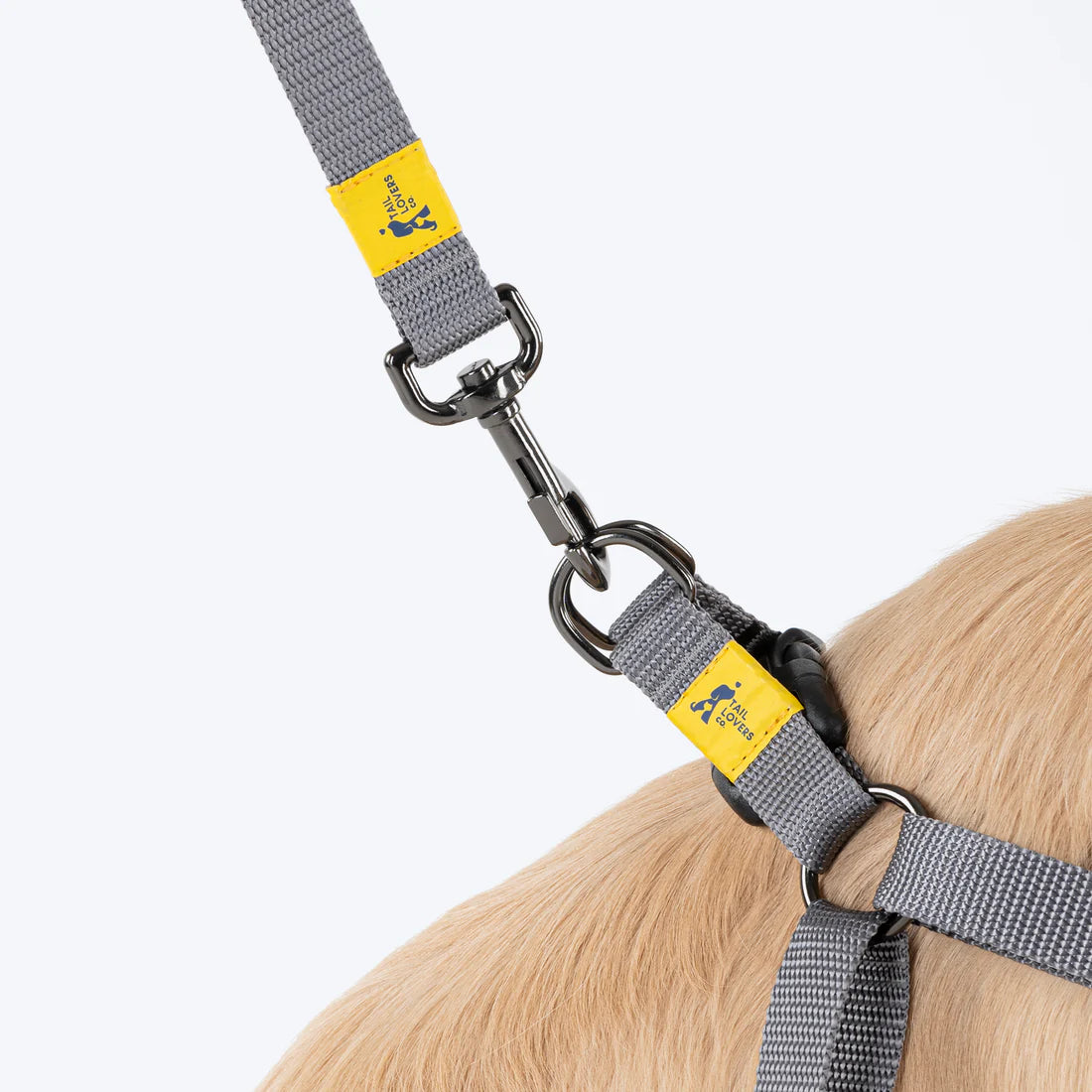 SPLENDOUR SERIES STEP IN HARNESS L