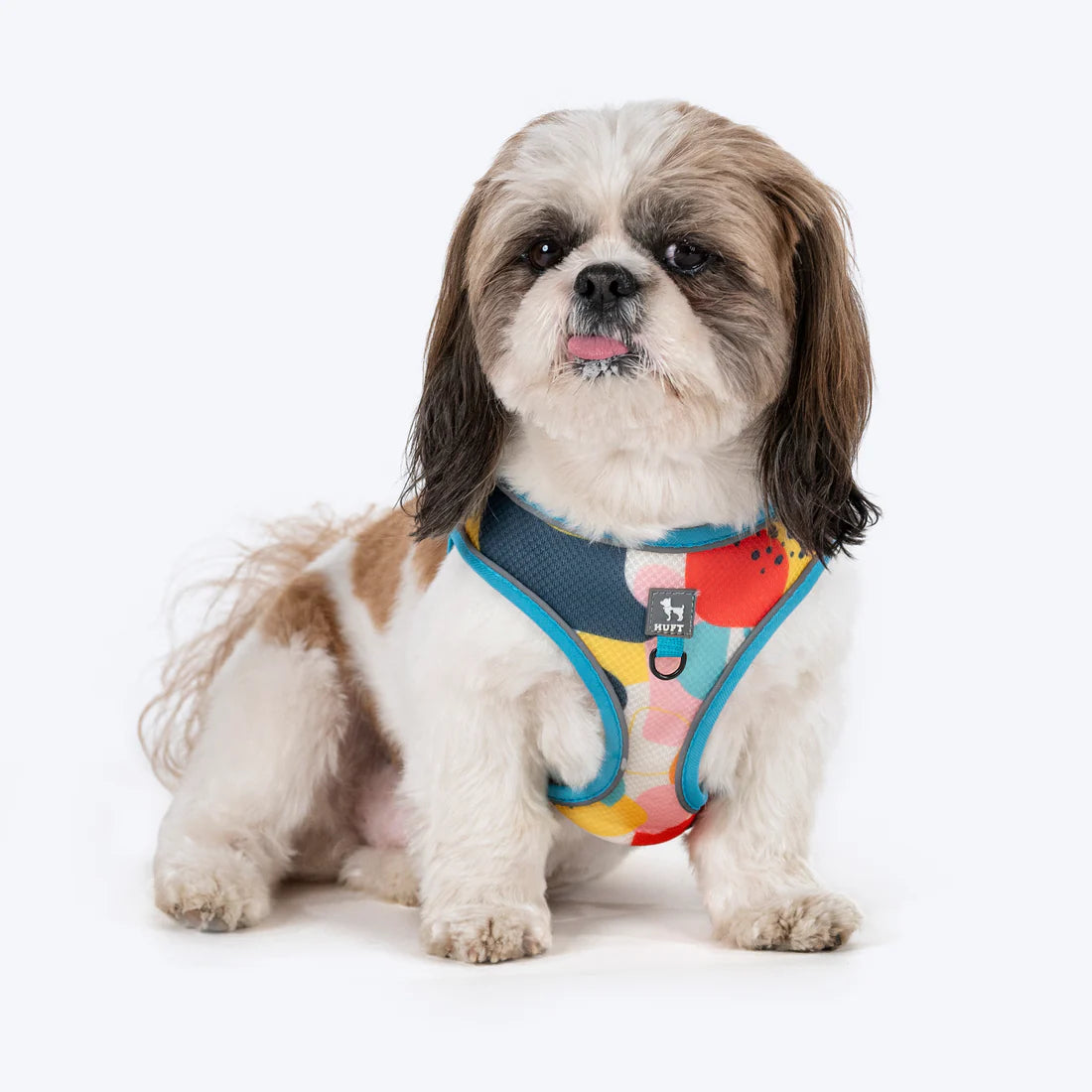 DOB PRINTED STEP  IN HARNESS M