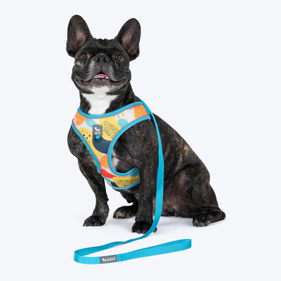 DOB PRINTED STEP  IN HARNESS M