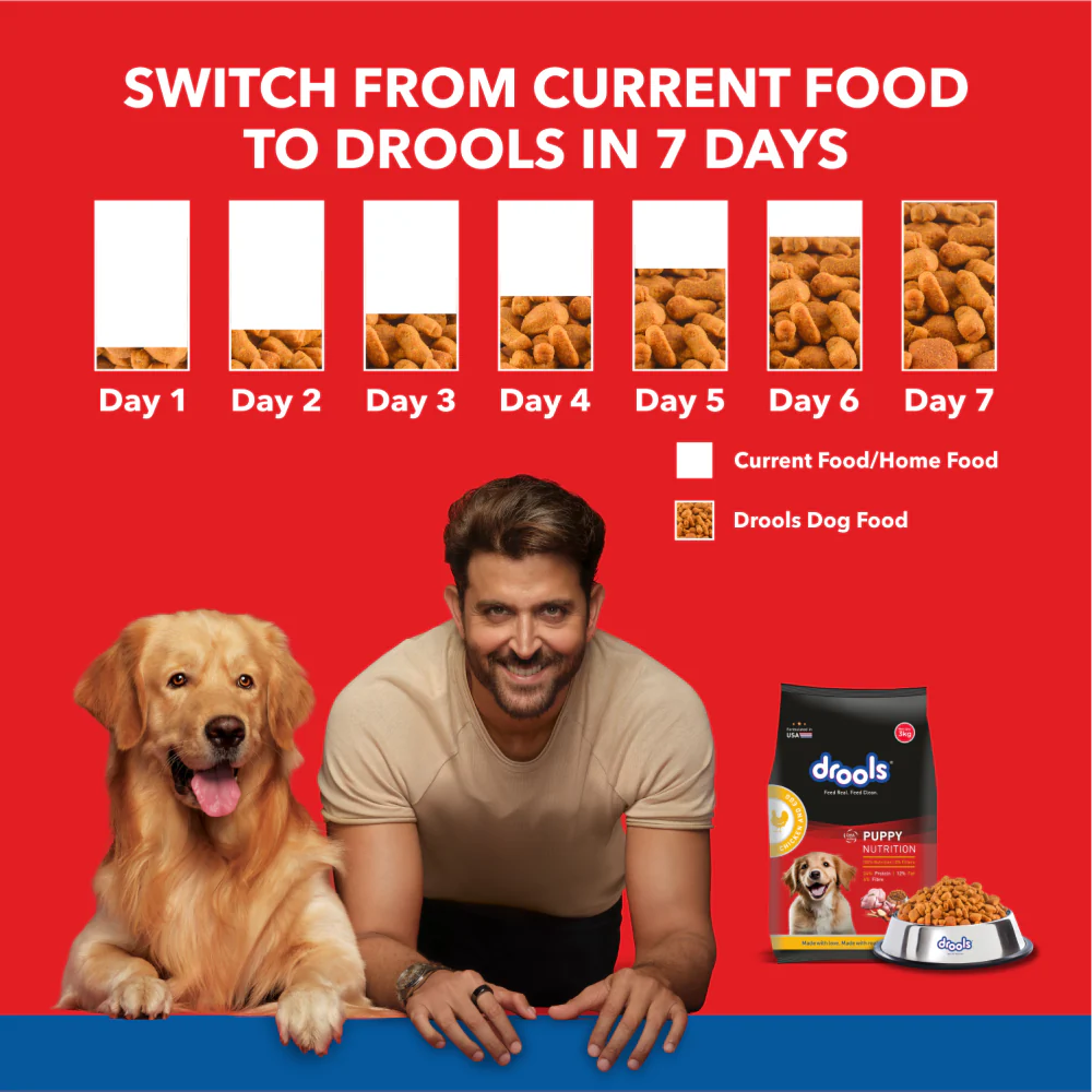 DROOLS PUPPY CHICKEN AND EGG 10KG