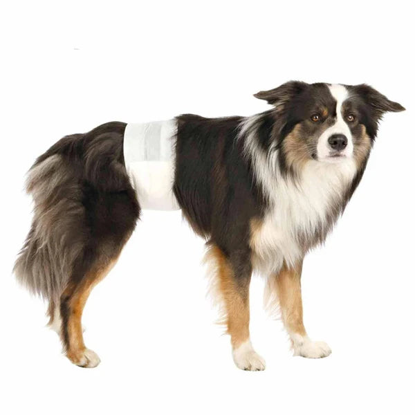 TRIXIE DIAPERS FOR MALE DOGS DISP.12PCS 30 46CM S M