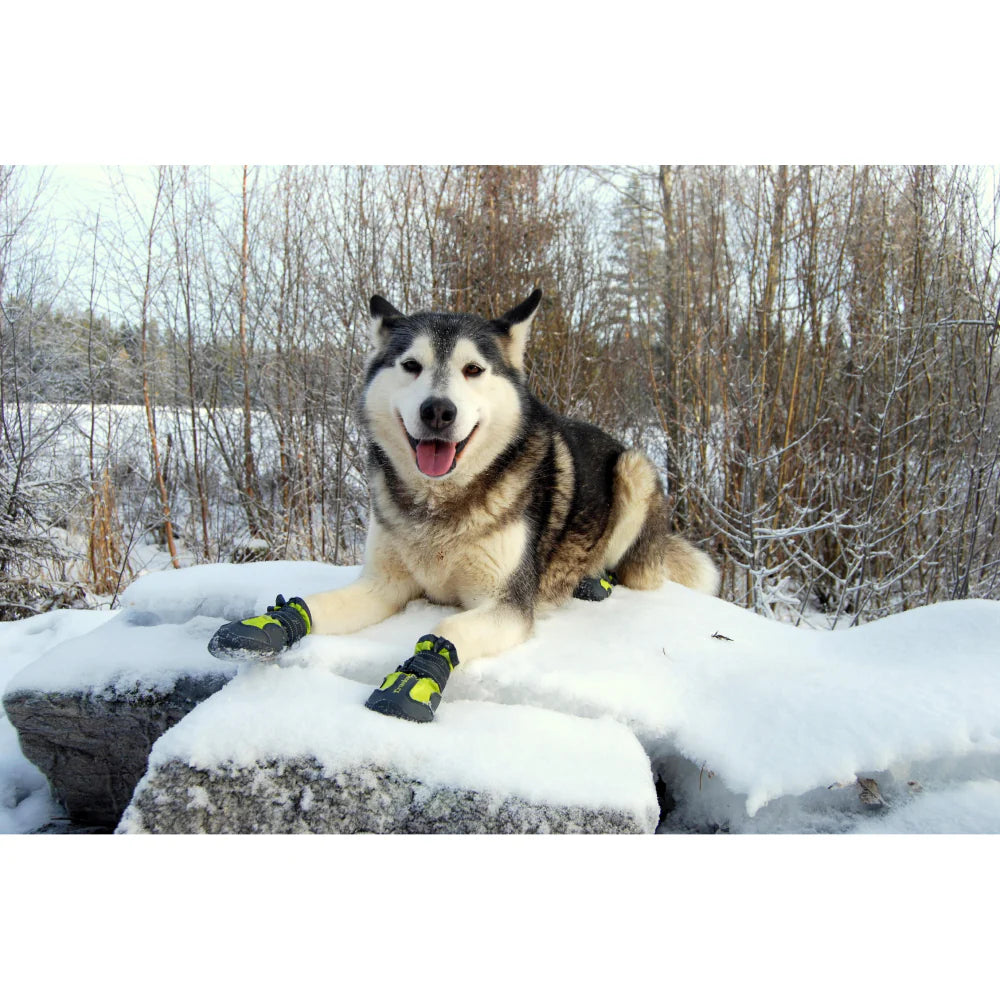 TRUELOVE PET BOOTS SIZE 3 BLACK