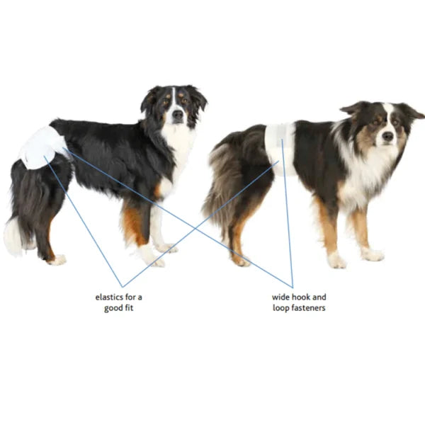 TRIXIE DIAPERS FOR MALE DOGS DISP.12PCS 30 46CM S M