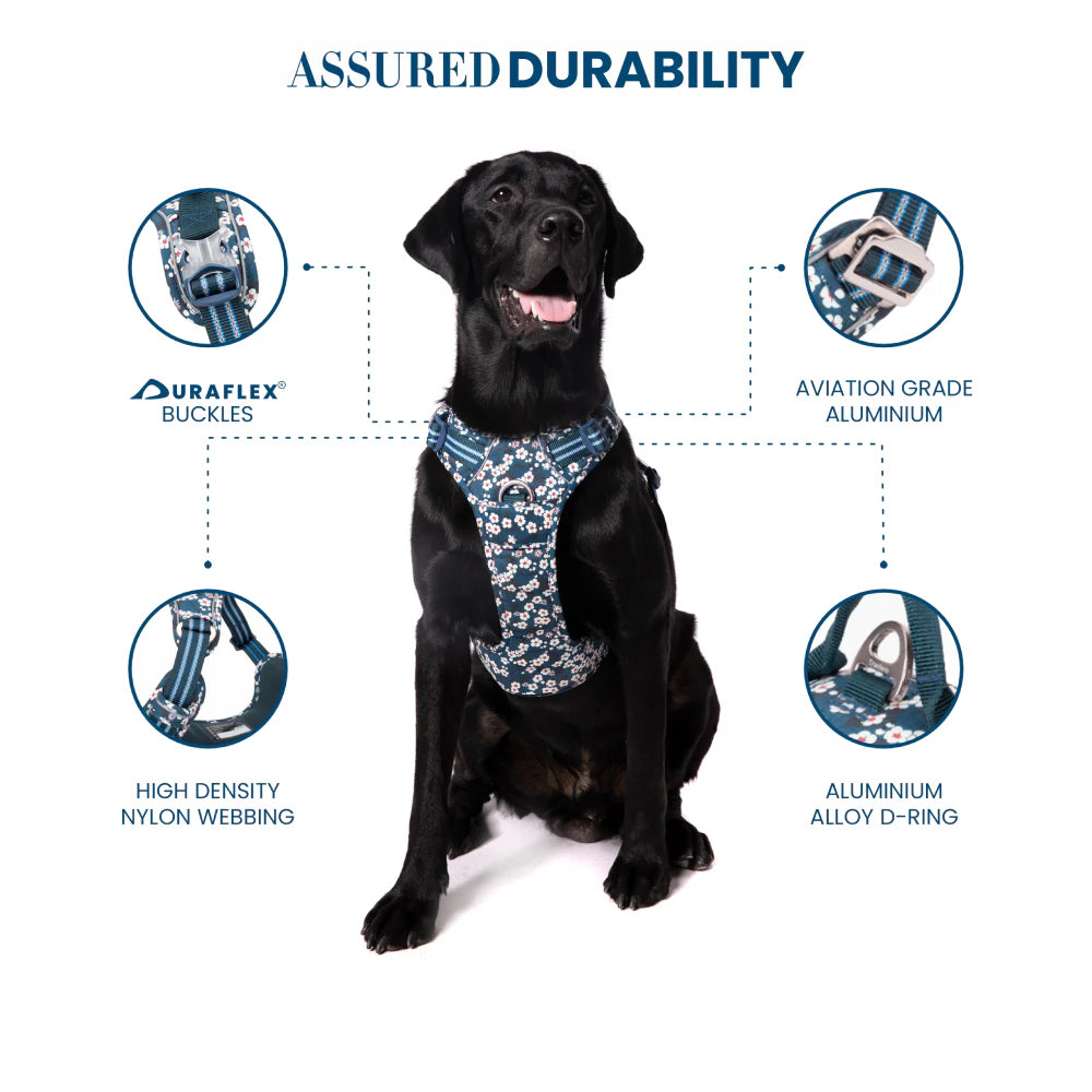 TRUELOVE FLORAL NO PULL PET HARNESS L SAXONY BULE