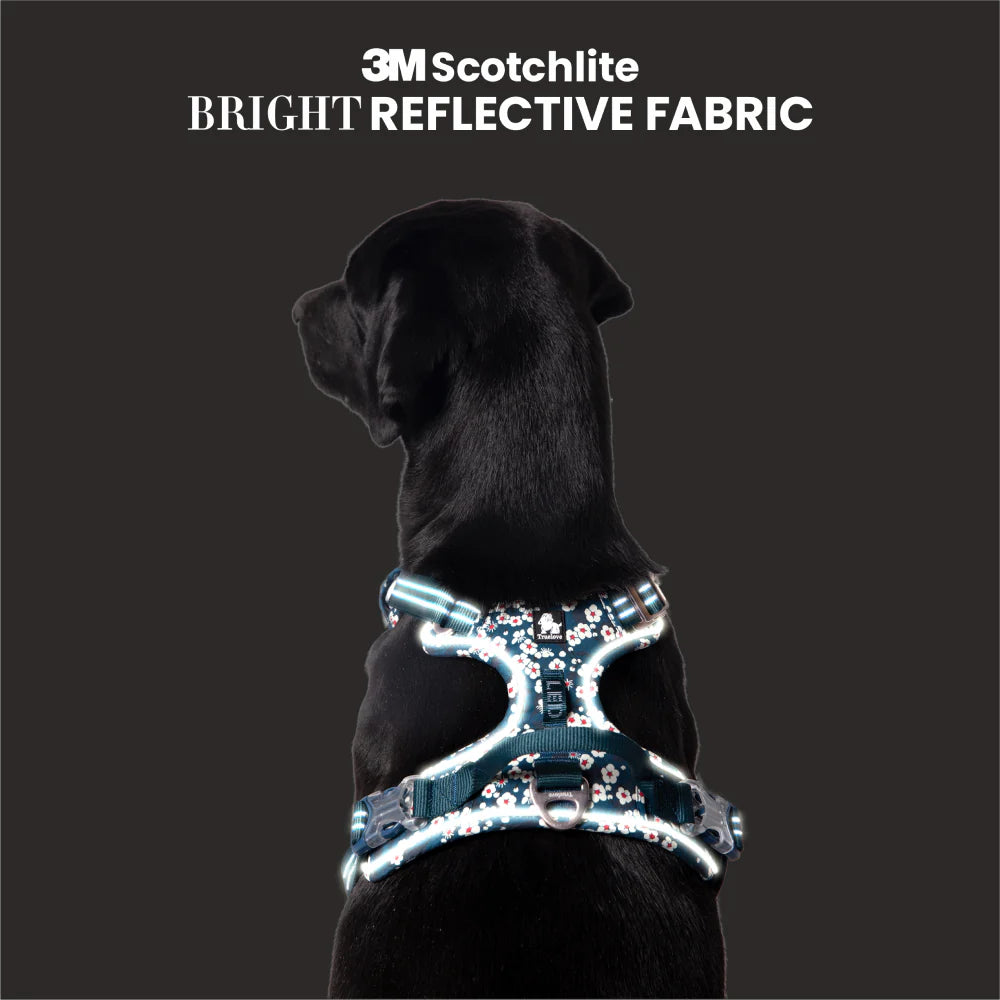 TRUELOVE FLORAL NO PULL PET HARNESS L SAXONY BULE