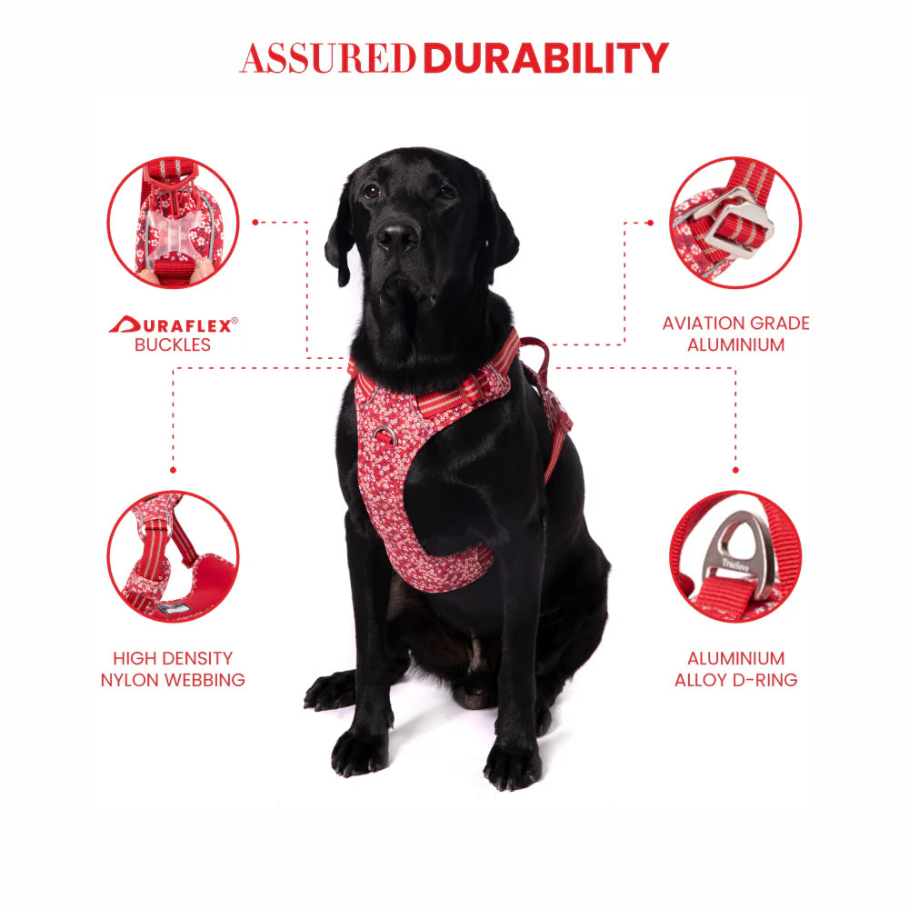 TRUELOVE FLORAL NO PULL PET HARNESS XL POPPY RED