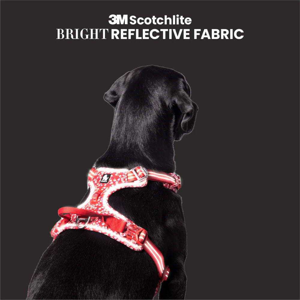 TRUELOVE FLORAL NO PULL PET HARNESS XL POPPY RED