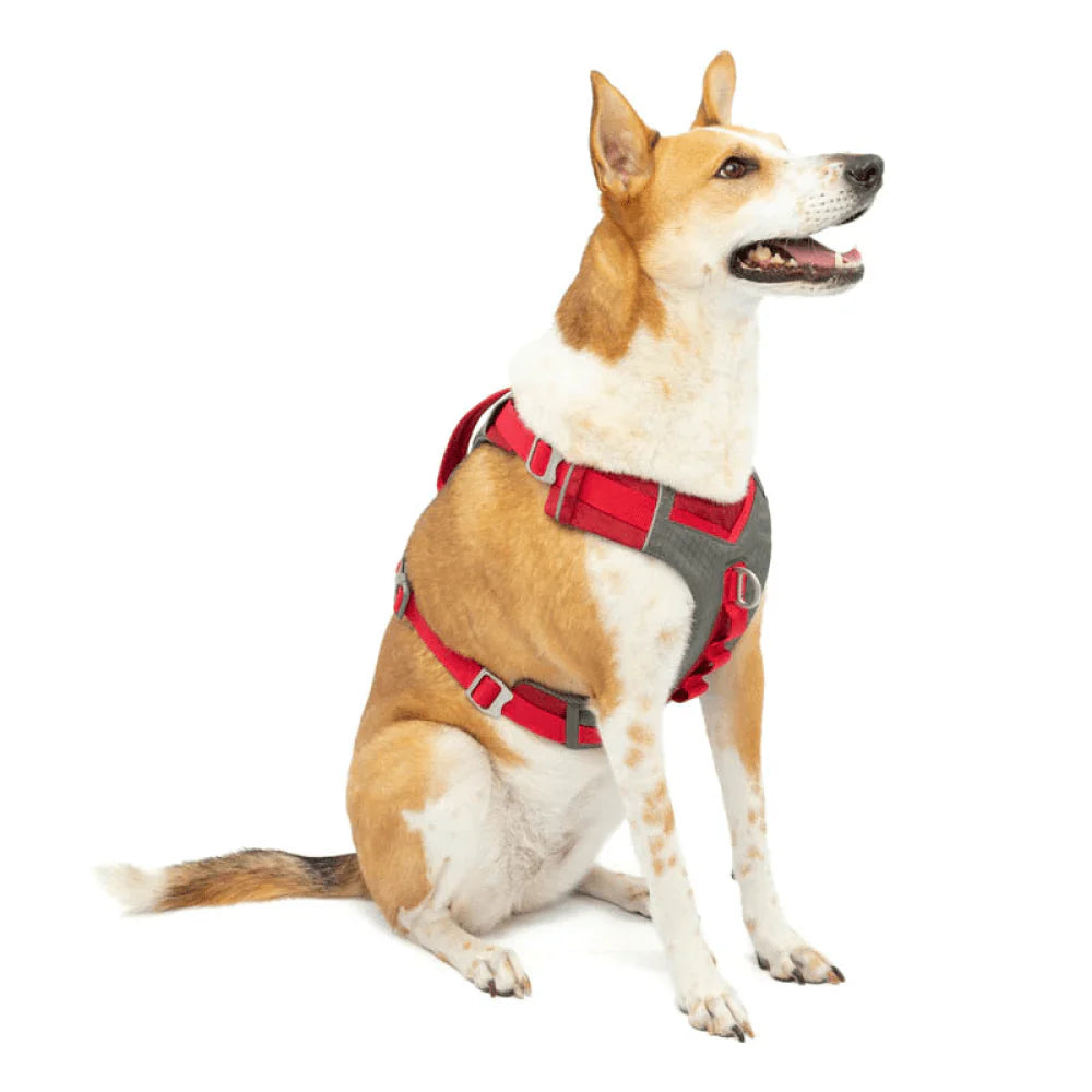 KURGO JOURNEY AIR HARNESS RED M