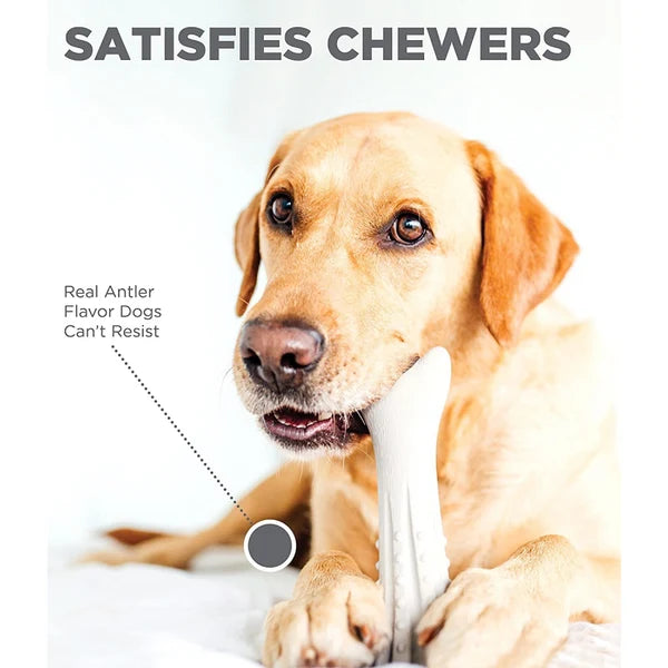 PETSTAGES DEERHORN DURABLE CHEW TOY SMALL 13 CM