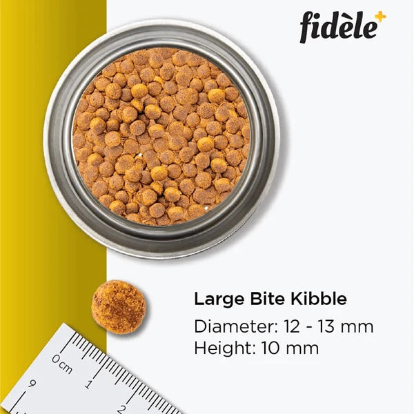 FIDELE LARGE PUPPY 1KG