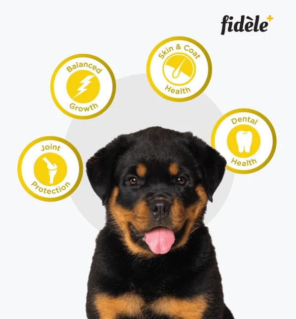 FIDELE LARGE PUPPY 1KG