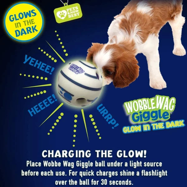 PAWSINDIA WOBBLE WAG GLOW IN DARK DOG TOY
