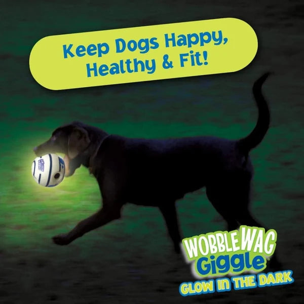 PAWSINDIA WOBBLE WAG GLOW IN DARK DOG TOY