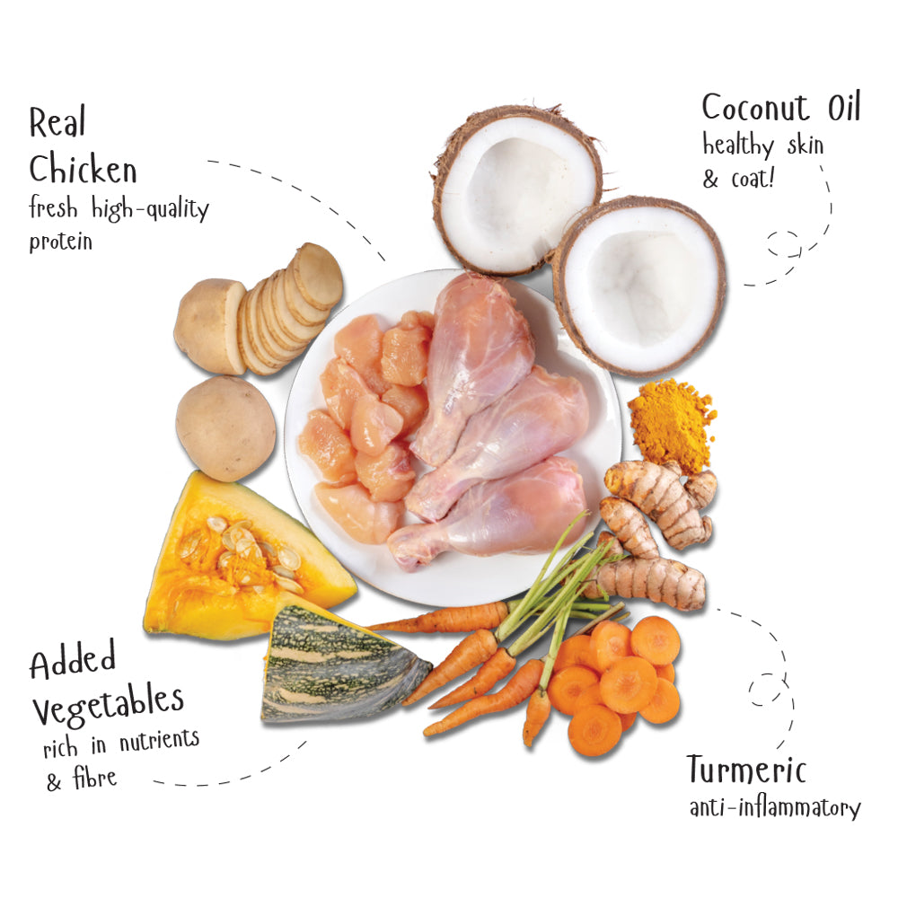 FI FRESH CHICKEN WITH VEG GRAVY POUCH 100GM