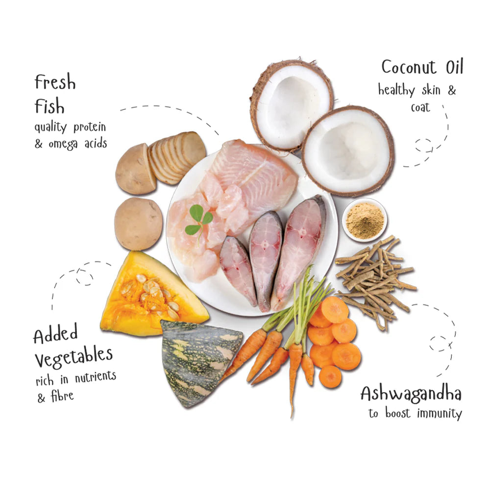 FI FRESH FISH WITH VEG GRAVY POUCH 100GM