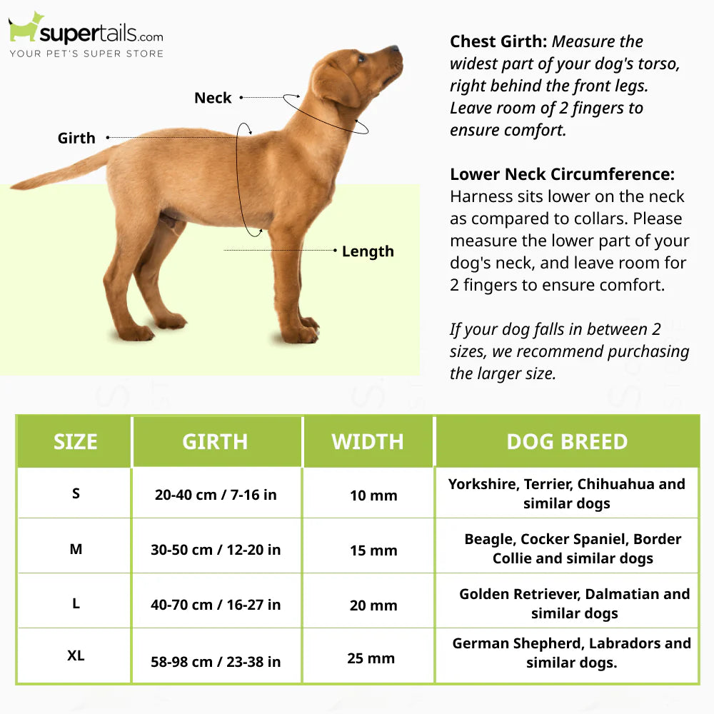 8337 GIGWI HARNESS CLASSIC LINE L