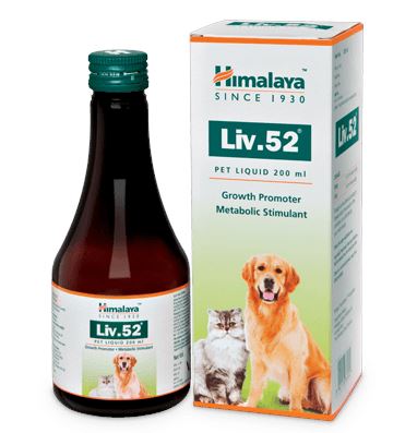 HIMALAYA LIV 52 LIQUID 200 ML