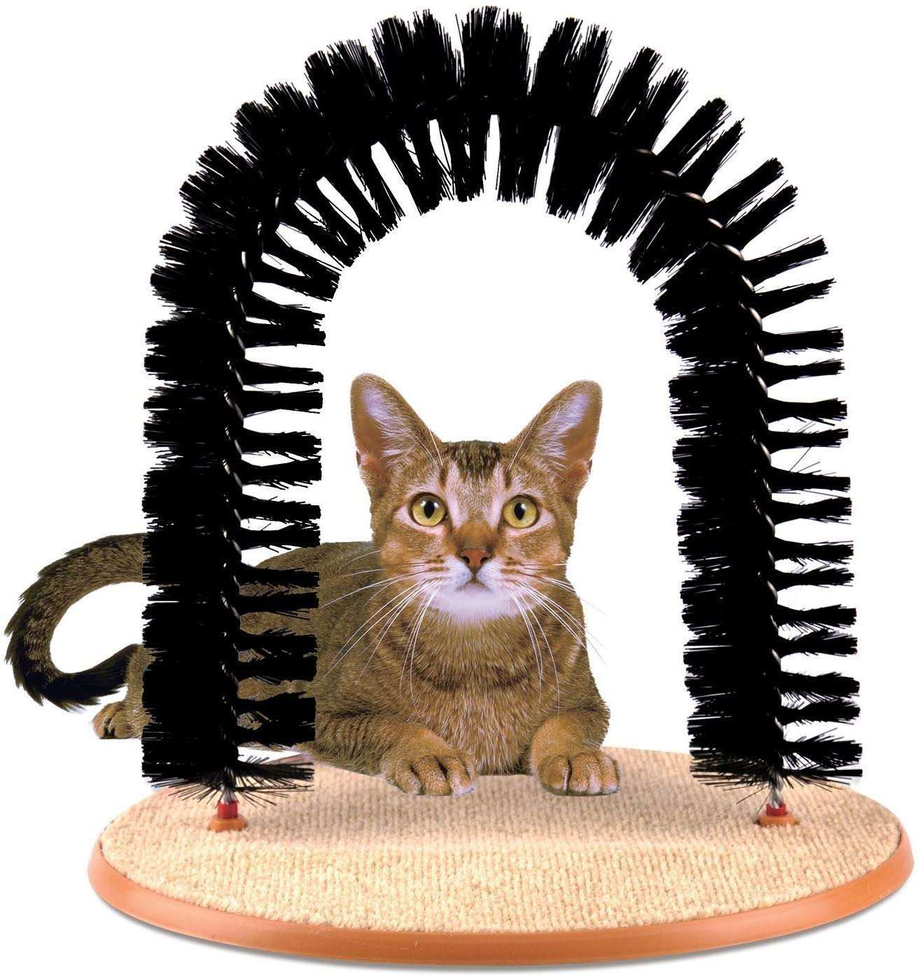 PE CAT SCRATCHING ARCH