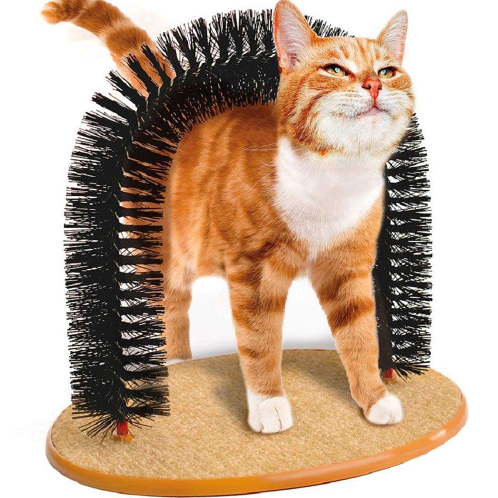 PE CAT SCRATCHING ARCH