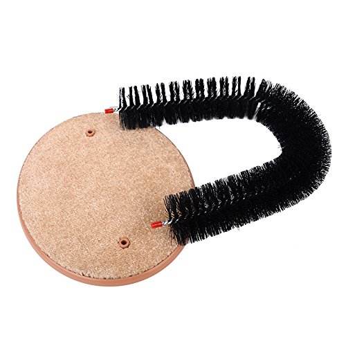 PE CAT SCRATCHING ARCH