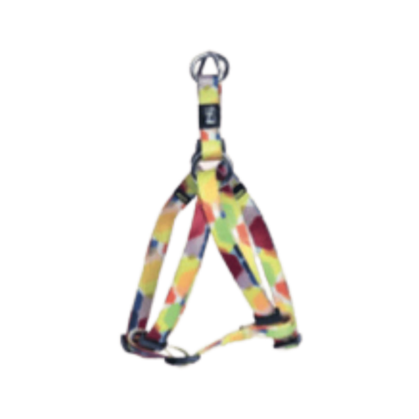 NEW DIGITAL SERIES STEP IN HARNESS M