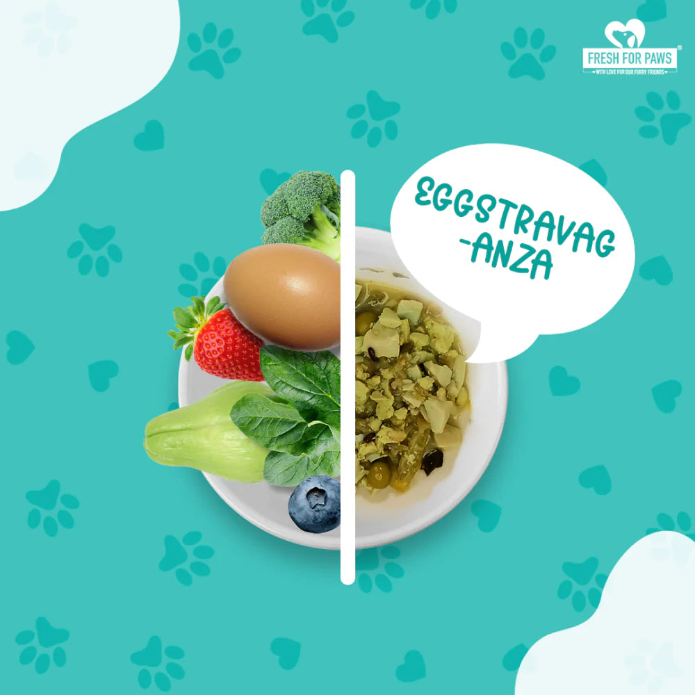 FRESH FOR PAWS EGGSTRAVAGANZA 100GM
