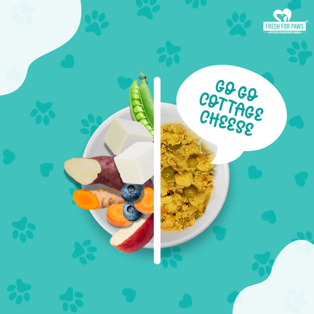 FRESH FOR PAWS GO GOCOTTAGE CHEESE 100GM
