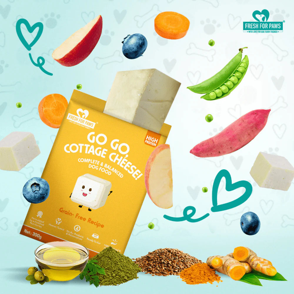 FRESH FOR PAWS GO GOCOTTAGE CHEESE 100GM